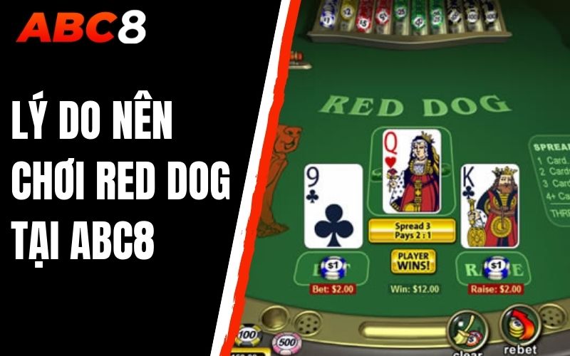 lý do nên chơi red dog tại abc8